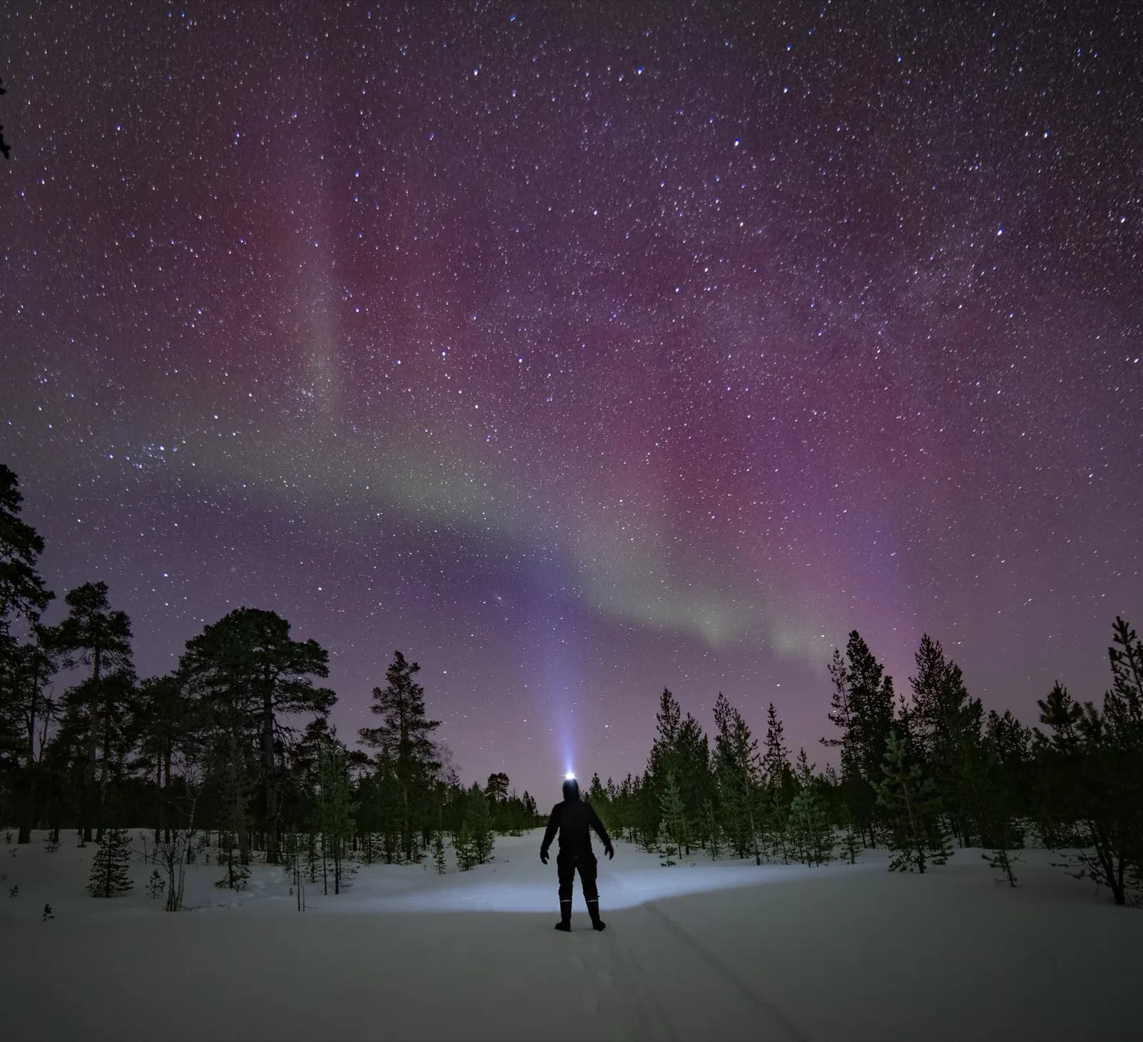 Under the northern lights